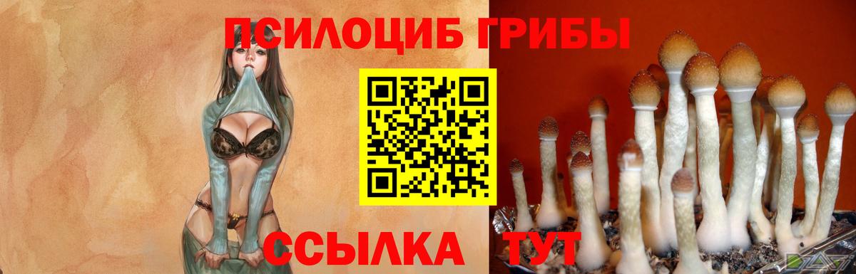 Псилоцибиновые грибы прущие грибы  Вход с VPN  наркотики  Мичуринск 